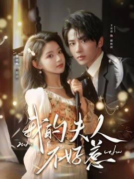 我的夫人不好惹