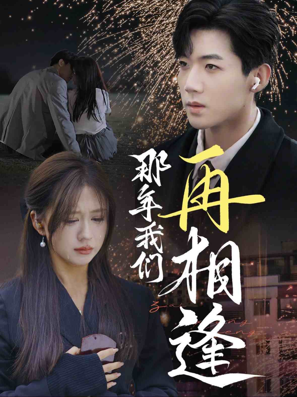 那年我们再相逢(全集)